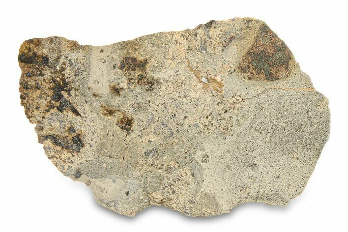 Eucrite Meteorite Slice ( g) - Jikharra #284813